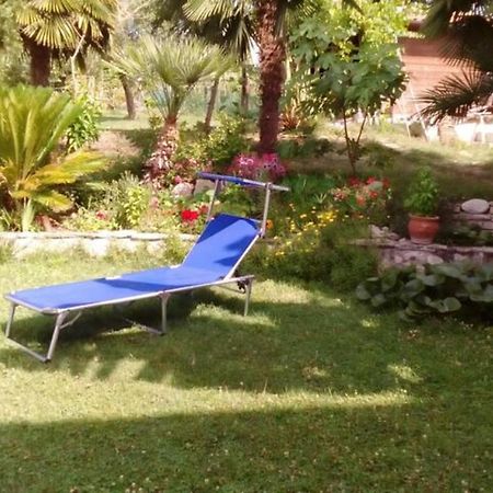 Residenza Flores Apartment Pescara Bagian luar foto